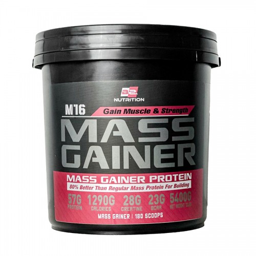 M16 MASS GAINER 119% (12 lbs) - 180 servings